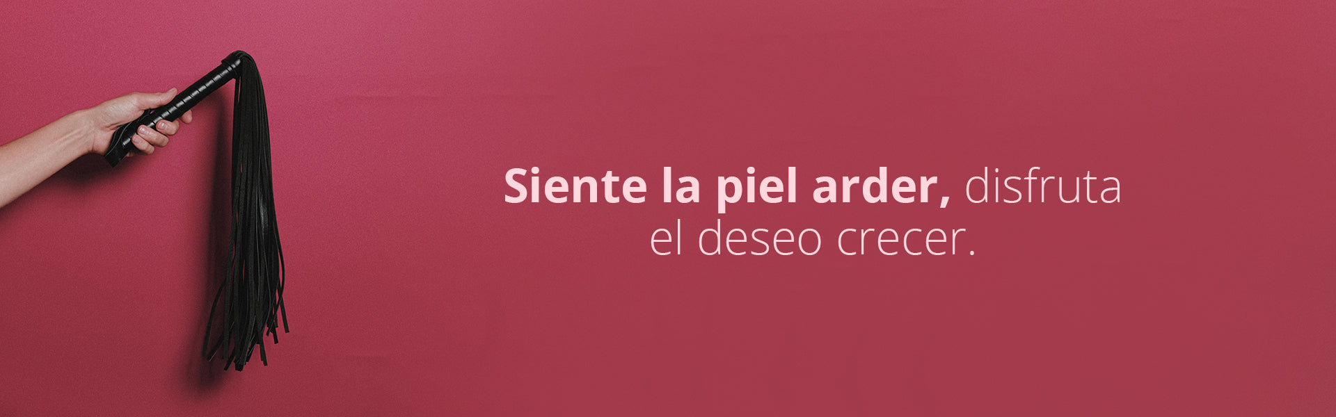 Látigos y Paletas